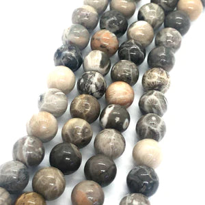 Coral Fossil Natural Stone Beads