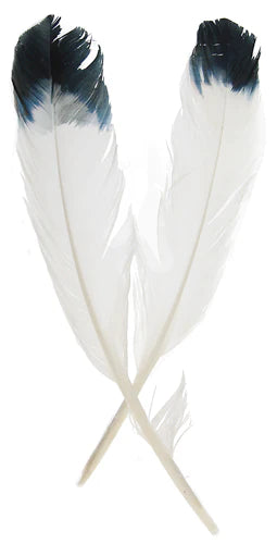 Imitation Eagle Feathers, 12"