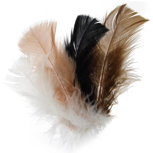 Plumes