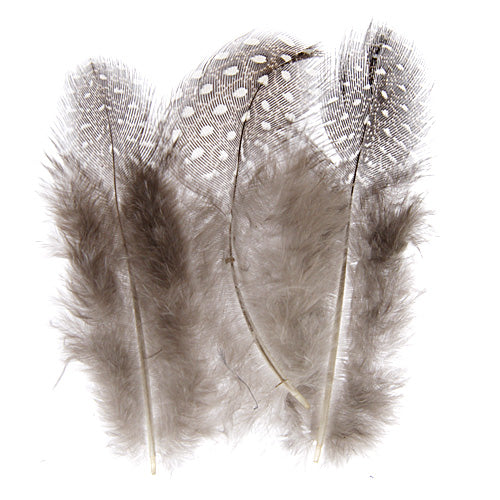 Guinea Fowl Plumes