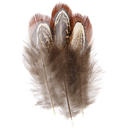 Pheasant Feathers