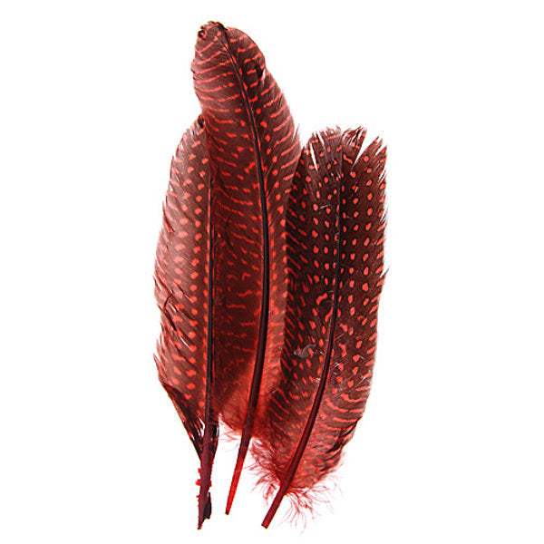 Guinea Fowl Quill Feathers