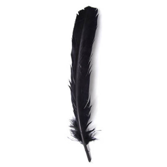 Turkey Quill Feathers, 12"